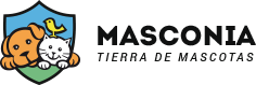 masconia 2